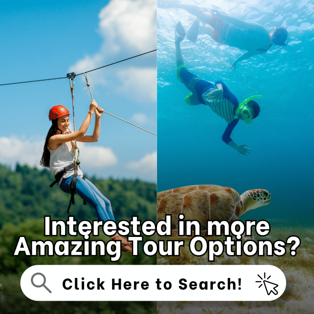 view more tours Looking for more tours options at a great price? Search for more amazing high rated tours here and save money! Ziplines, Snorkeling, Sunset Dinners and Luaus!