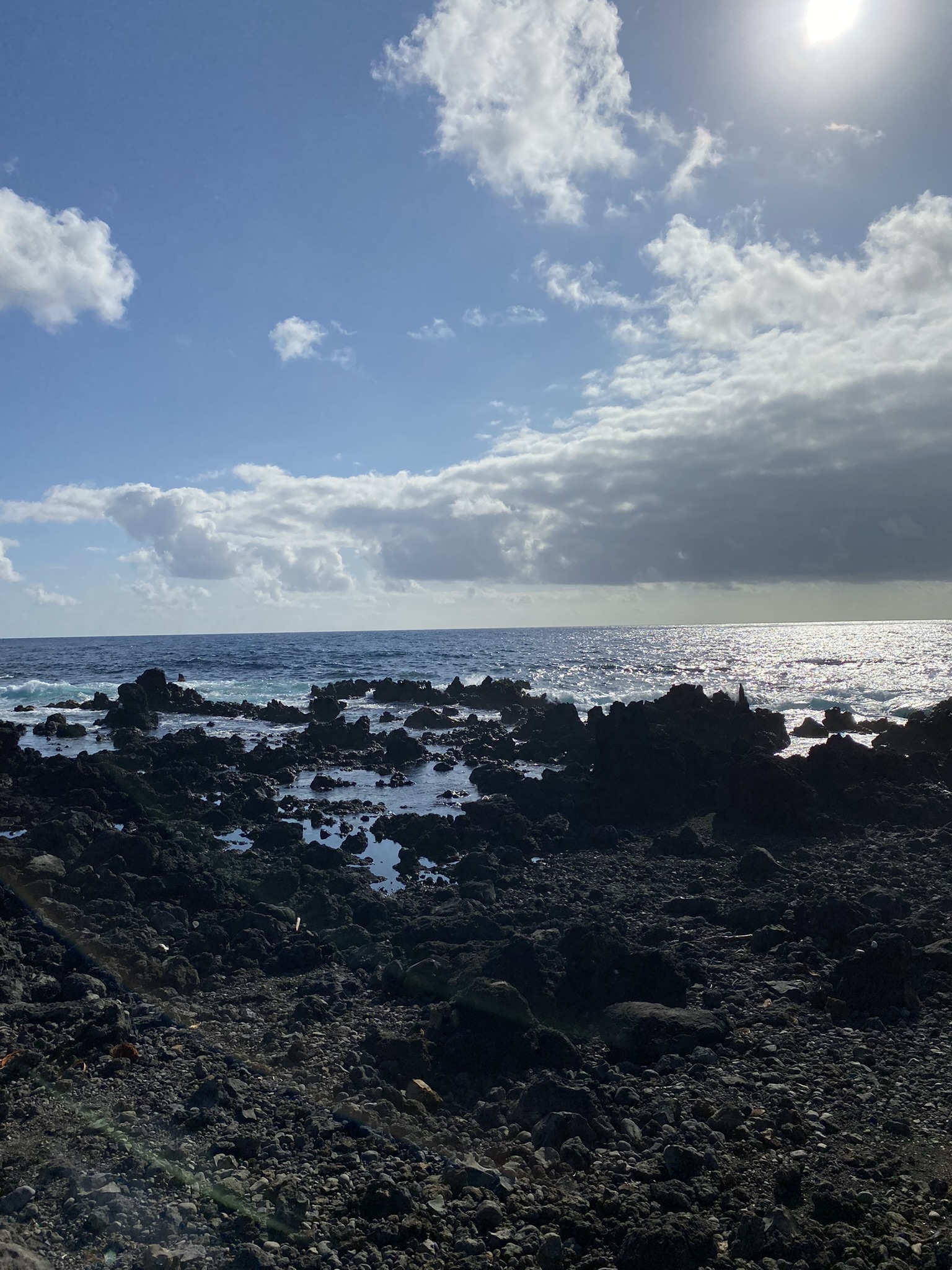 Justin Johnston from Best Helicopter Tours in Maui at a Black sand beach at the end of road to hana 2