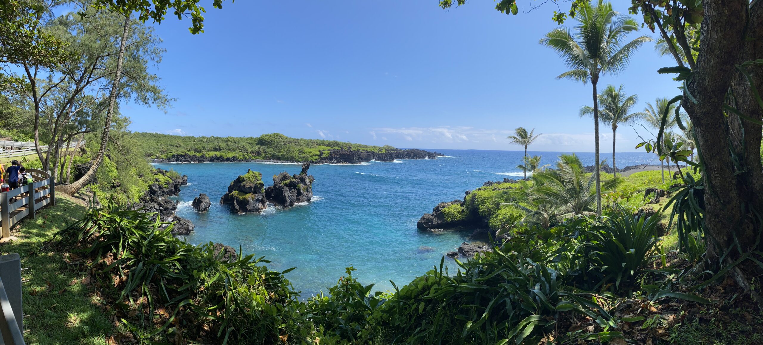 Justin Johnston from Best Helicopter Tours in Maui at a Black sand beach at the end of road to hana 6