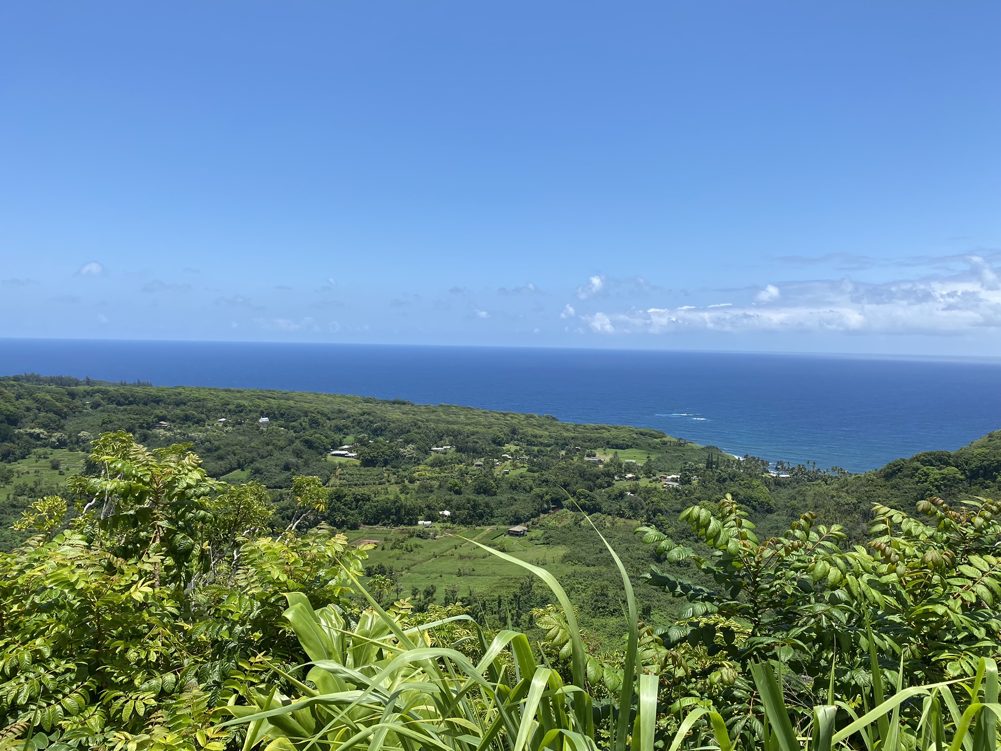 Justin Johnston from Best Helicopter Tours in Maui on Road to Hana