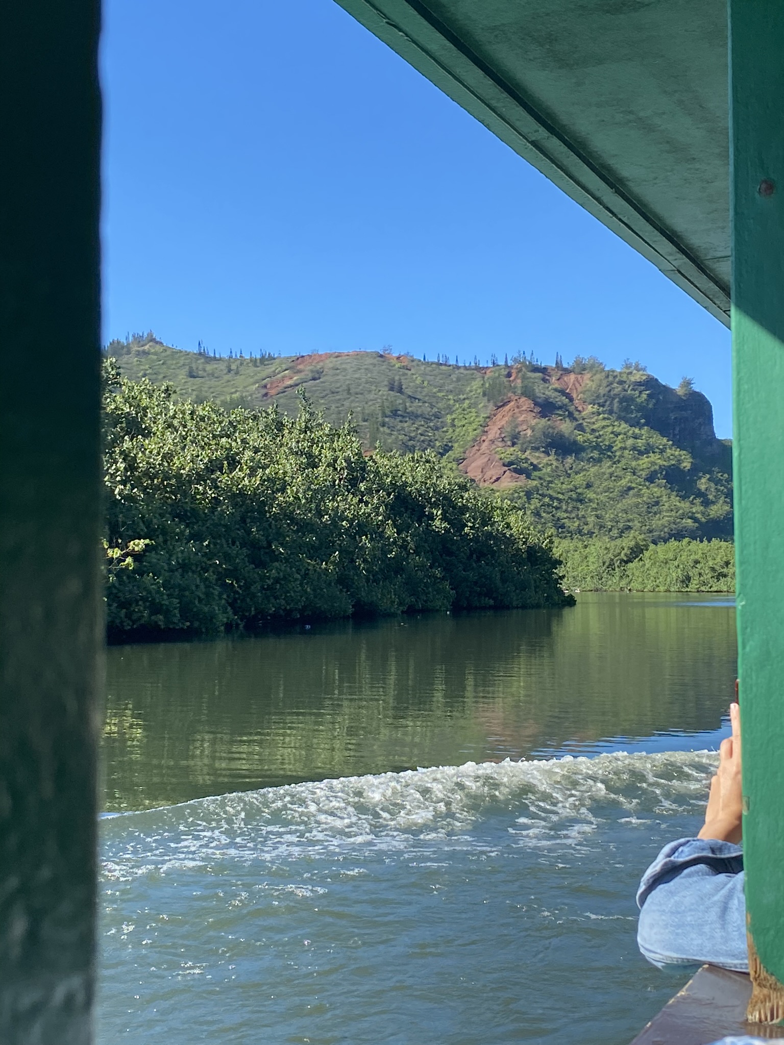 Justin Johnston from Best Helicopter Tours on the Waimea River Tour