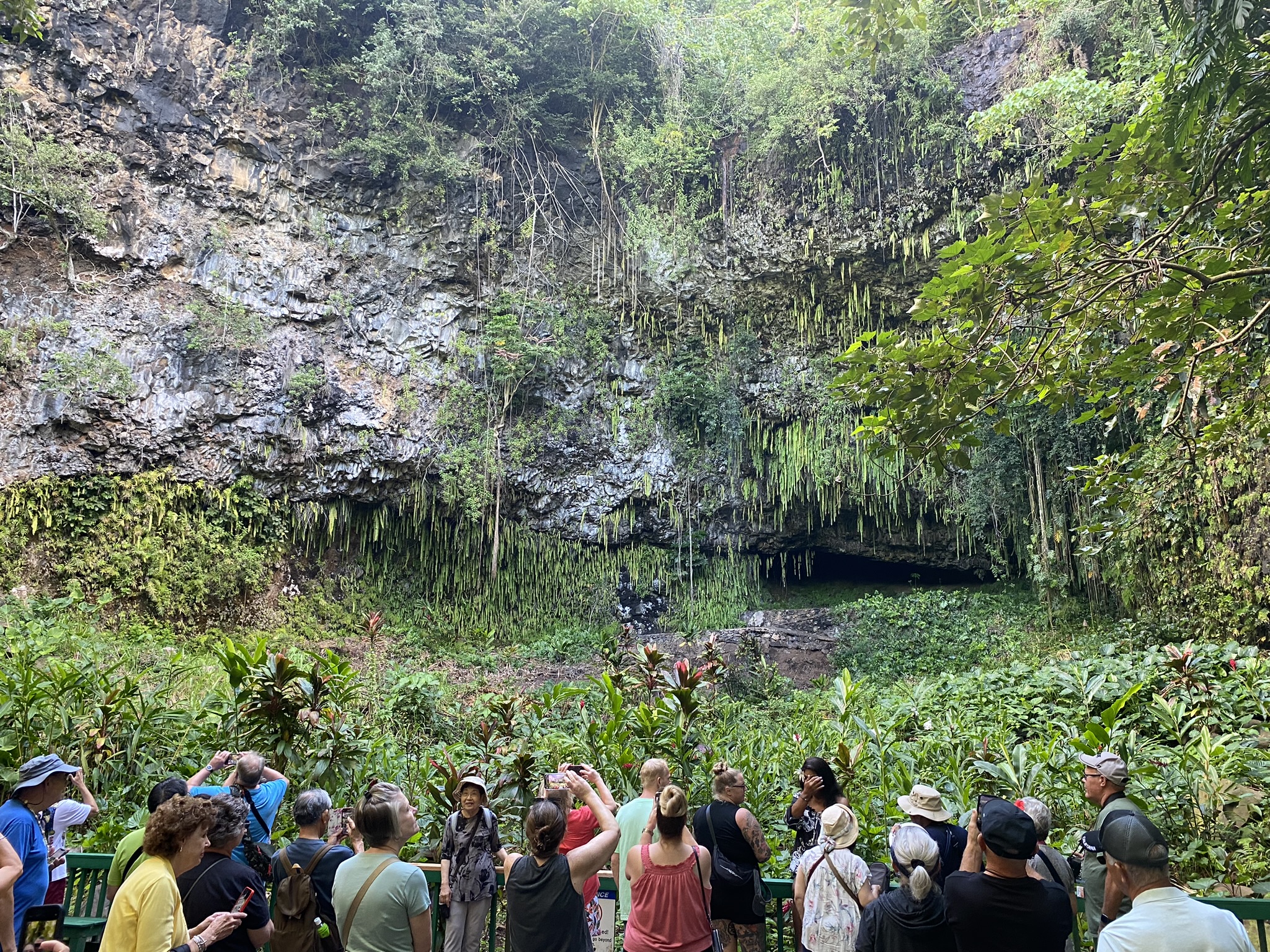 Justin Johnston from Best Helicopter Tours on the Waimea River Tour 5