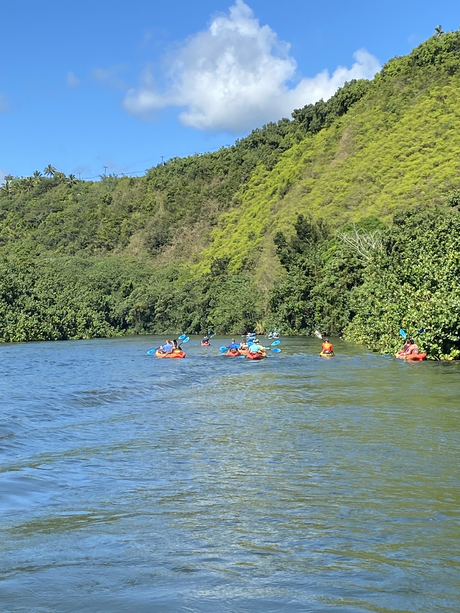 Justin Johnston from Best Helicopter Tours on the Waimea River Tour 6