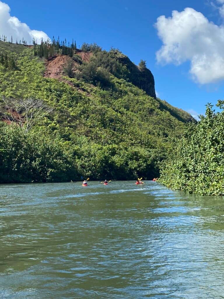 Justin Johnston from Best Helicopter Tours on the Waimea River Tour 7