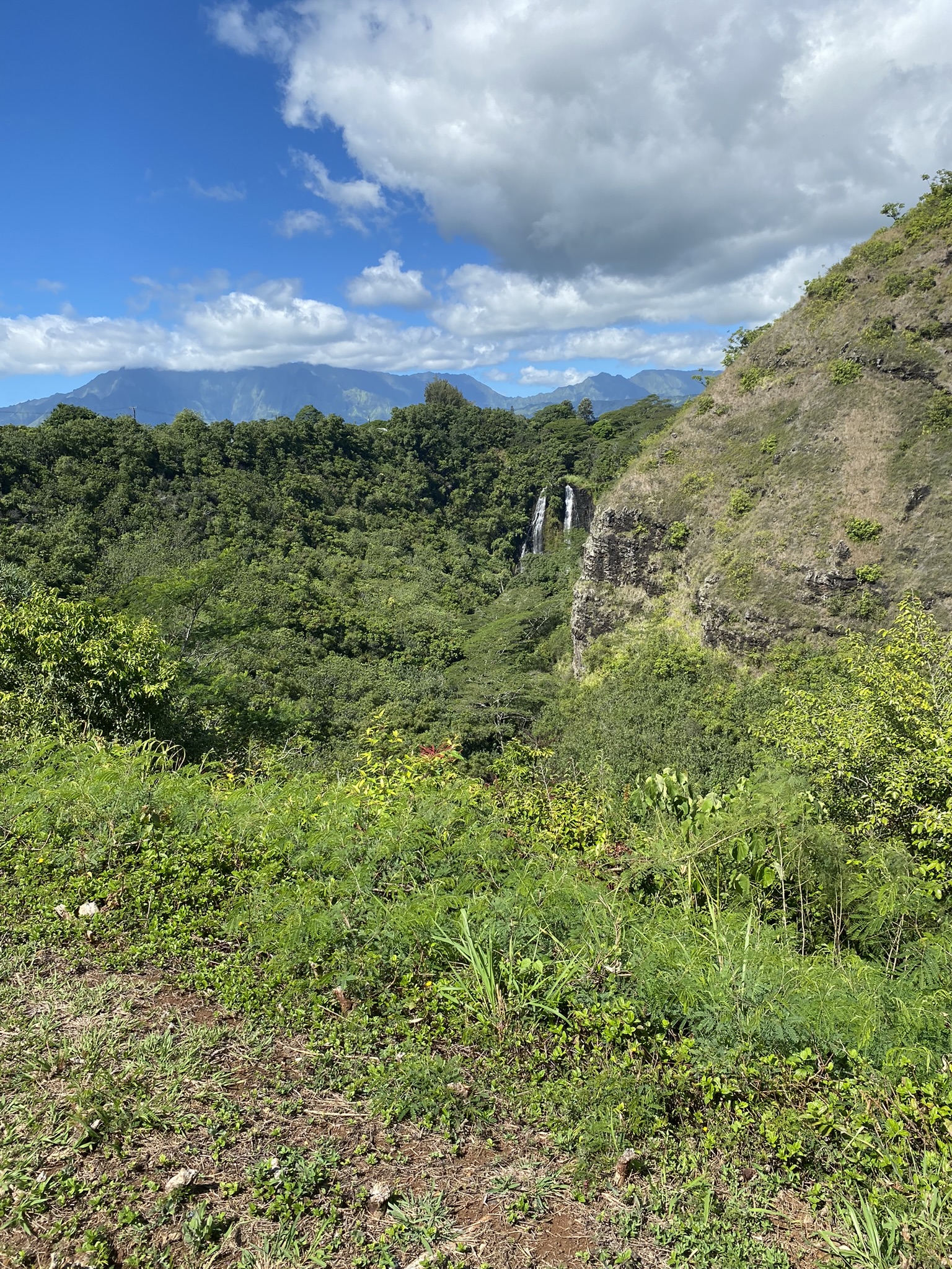 Justin Johnston from Best Helicopter Tours on the Waimea River Tour 8