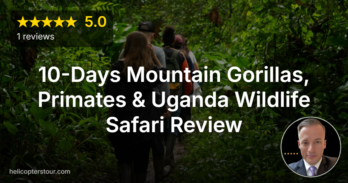 Discover the 10-Days Mountain Gorillas, Primates & Uganda Wildlife Safari. Experience thrilling gorilla trekking and incredible wildlife encounters!