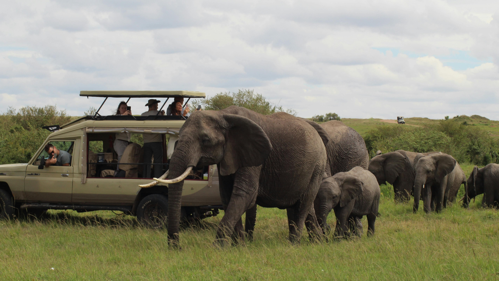 Best Africa expedition tour reviews 2026 — expert-reviewed overland safari adventures from Cape Town to Uganda