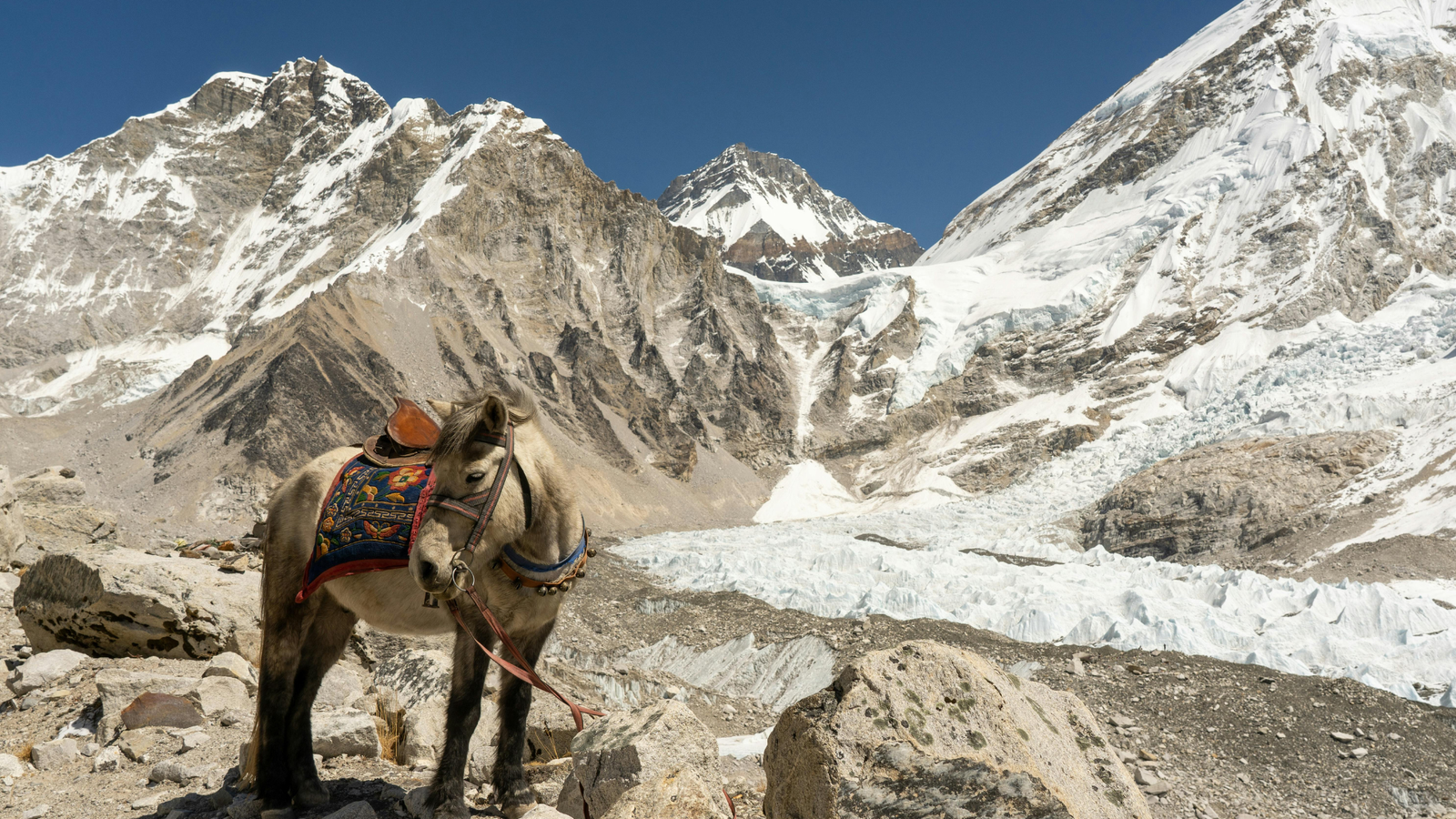 Expert expedition tour reviews 2026 — Mount Everest region trek and mountaineering adventures in Nepal's Khumbu Valley