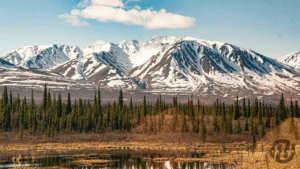 Top ranked Alaska Helicopter Tour