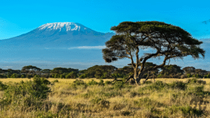 Top Ranked Kenya Expedition Tour