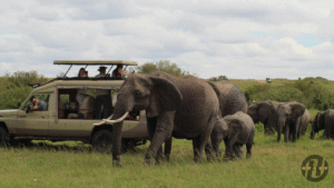 Top Ranked Kenya Expedition Tour