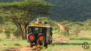 Top Ranked Kenya Expedition Tour