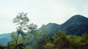 Top Ranked Mexico Expedition Tour