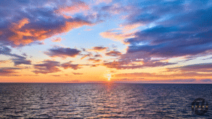 Top Ranked Michigan Helicopter Tour