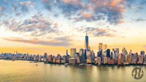 new-york-helicopter-gallery-1 (2)