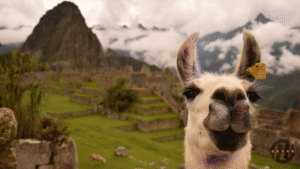 Top Ranked Peru Expedition Tour