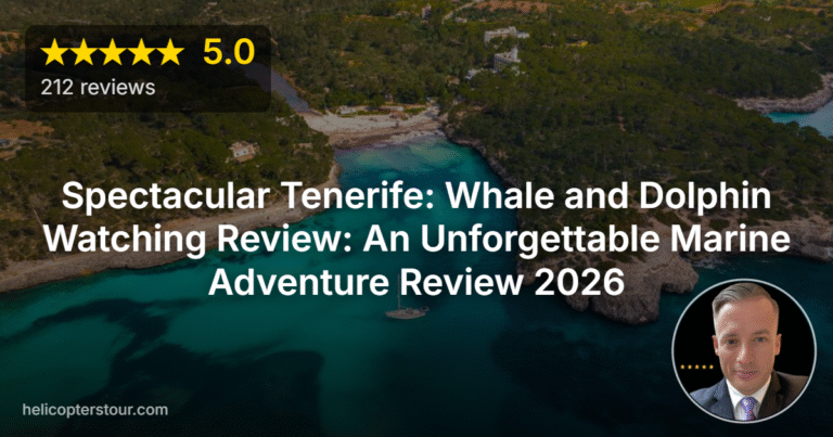 Spectacular Tenerife: Whale and Dolphin Watching Review: An Unforgettable Marine Adventure Review 2026
