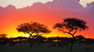 Top Ranked Tanzania Expedition Tour