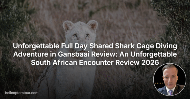 Unforgettable Full Day Shared Shark Cage Diving Adventure in Gansbaai Review: An Unforgettable South African Encounter Review 2026